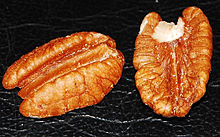 Pecan 